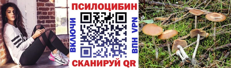 KRAKEN маркетплейс  Пионерский  Псилоцибиновые грибы Cubensis  хочу наркоту 