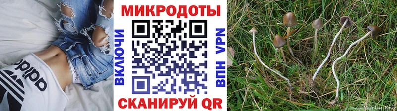 Галлюциногенные грибы GOLDEN TEACHER Пионерский